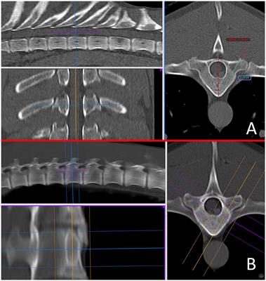 Accuracy and safety of freehand vs. end-on fluoroscopic guided drill-hole placement in canine cadaveric thoracic, lumbar and sacral vertebrae